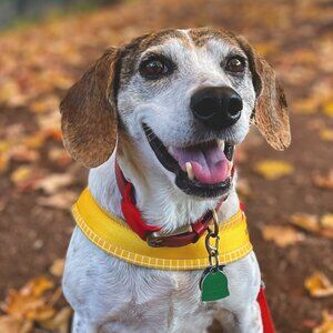 Meet your Posher, Jiro